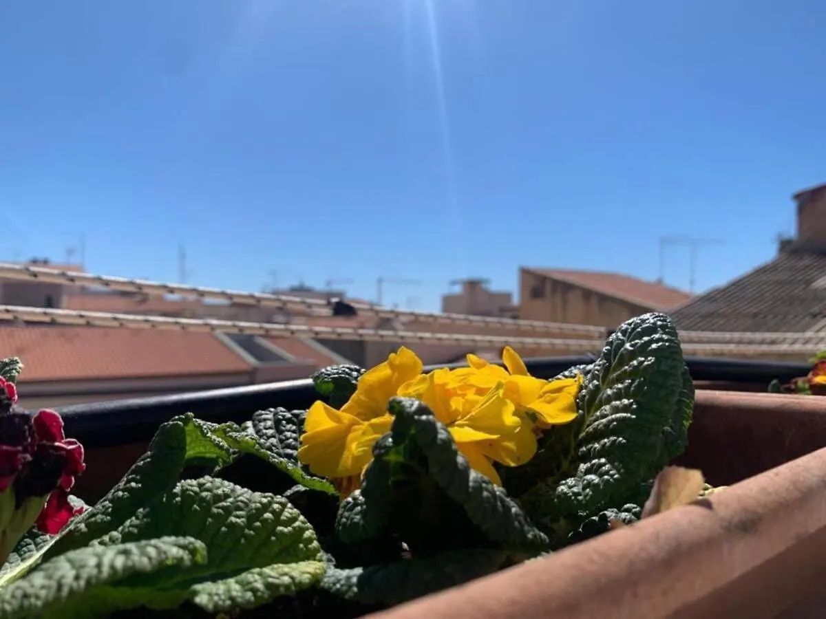 Apartament Nura'S - Il Balcone Sui Tetti Alghero Włochy